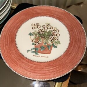 Vtg Wedgewood Sarah's Garden Salad Plate Primula Auricula Flower 1997 England
